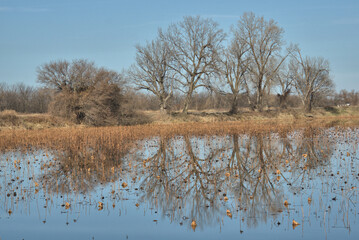 Loess Bluffs National Wildlife refuge (AKA Squaw Creek National Wildlife Refuge) located in NE...