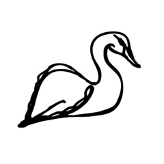 hand-drawn swan. Children s drawing. The image is isolated on a white background. Vector graphics