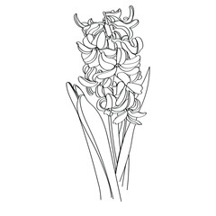 abstract, art, background, beauty, black, blossom, concept, continuous, decoration, design, doodle, drawing, element, engraving, flat, floral, flower, garden, graphic, icon, illustration, isolated, le