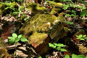 Manor - in Russian architecture, a separate settlement, a complex of residential, utility, park and other buildings, as well as, as a rule, a manor park that make up a single whole.