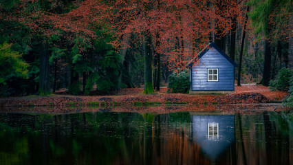 A blue small wooden house on the water in autumn forest in the Veluwe nature park