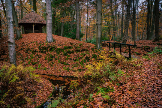 A wooden bridge leads to a wooden house in an autumn forest in the Veluwe nature park in the Netherlands