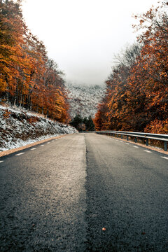 Road In Autum