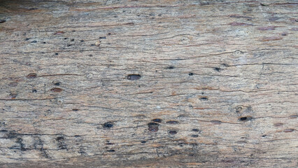 Fototapeta premium Natural wood pattern background. Close-up of wood plank texture. Wood panel texture.