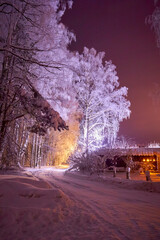 Trees in white frost are illuminated by lanterns at night 