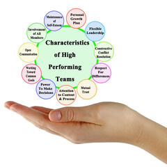 Characteristics of High Performing Teams