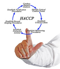 Seven steps of  HACCP implementation cycle