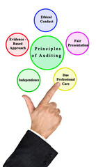 Presenting Five Principles of Auditing