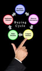  Buying Cycle
