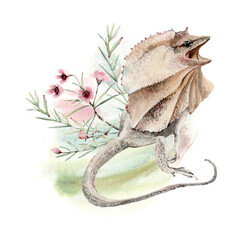 Watercolor frilled agama lizard  illustration - 484981793