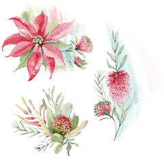 watercolor australian flowers set. - 484981798