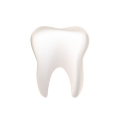 human tooth on a white background