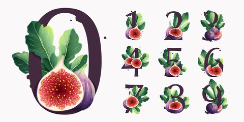 Numbers set with fresh ripe purple fig fruit and slices with leaf.