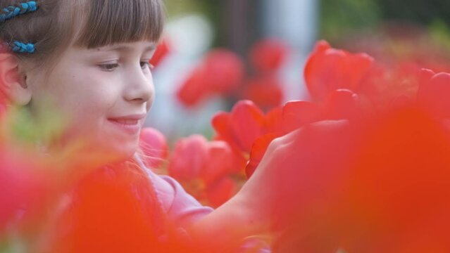 Happy child girl enjoying sweet smell of red tulip flowers in summer garden
