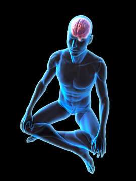 Transparent Blue Man Sitting in Meditation with Visible Brain