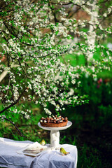 Easter chocolate cheesecake.traditional easter pastries.