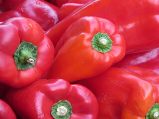 pimento Ají Barcelona