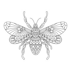 Bee, wasp contour linear illustration for coloring book. Cute insect, anti stress picture. Vector.