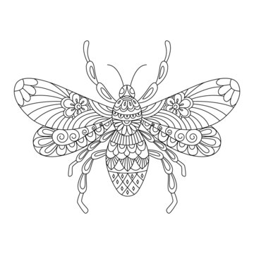 Bee, wasp contour linear illustration for coloring book. Cute insect, anti stress picture. Vector.