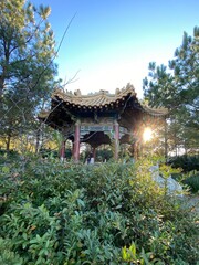 japanese garden in the park downtown Houston