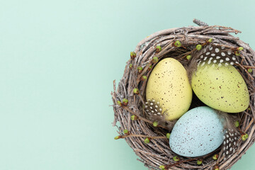 Easter greeting card. Easter eggs in the nest.