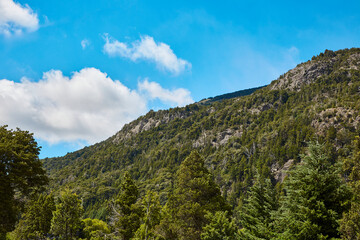 Mountains with stone, trees and pines in the Andes Mountains in Patagonia, Argentina. Sky with clouds.