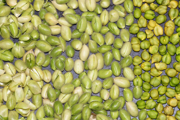 The pattern of green chickpea and chickpea peel.