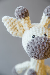 knitted giraffe - 484994141