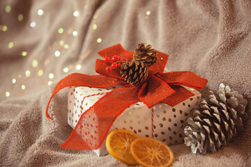 Christmas Gift Box and Decoration  