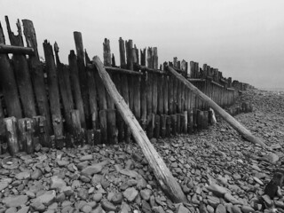 Breakwater on the beach - wood and pebbles