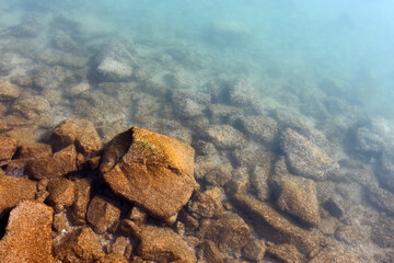 Lakeside seaweed golden stones and beautiful, translucent green water. Calm, artistic, minimal photo.