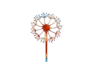 Dandelion, Make a Wish symbol Mandala psychedelic icon chromatic logo illustration
