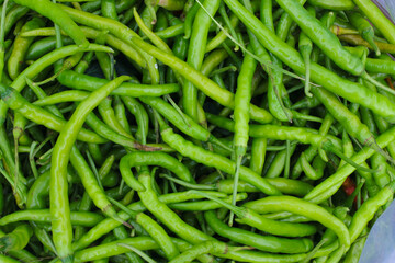 Top view of green chili peppers freshly harvested by Indonesian local farmers from fields.