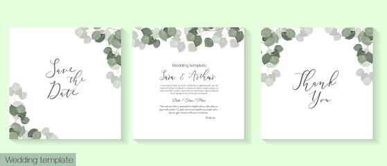 Fototapeta na wymiar Herbal vector template for wedding invitation. Green branches of eucalyptus.