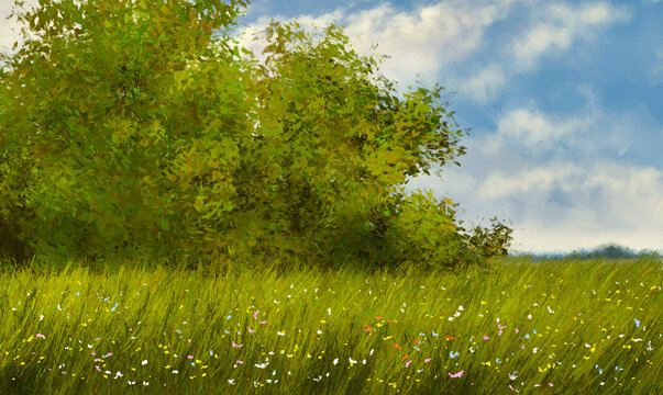 Oil paintings rural landscape, artwork, landscape with a meadow,  green grass and blue sky