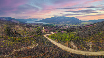 Stunning pink sunset view in Yukon Territory in summer months with pink aesthetic sky 