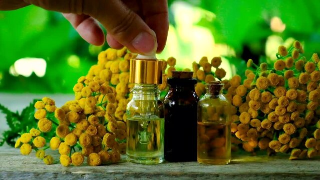 Tansy extract in a small bottle. Selective focus.