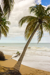 Grande Anse beach, Deshaies, Basse-Terre, Guadeloupe