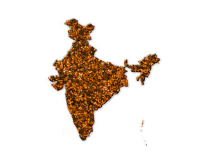 Indian Map India symbol Golden icon Gold Glitters logo illustration