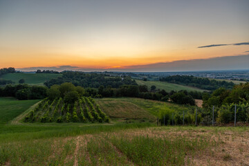 Fototapeta na wymiar Sunset on the Parma hills between the vineyards and agricultural fields in the Po valley.