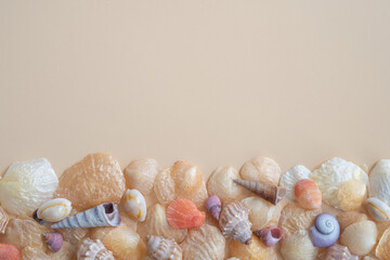 Beautiful Coloured Seashells from Above on a Cream Background with Copy Space