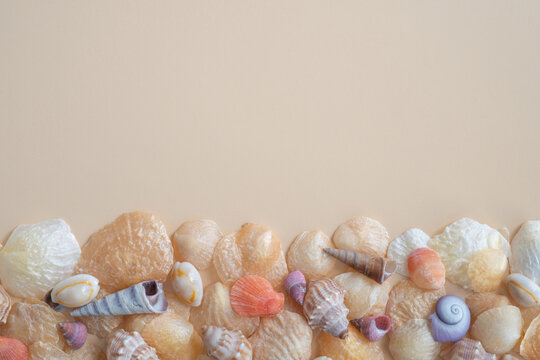 Beautiful Coloured Seashells from Above on a Cream Background with Copy Space