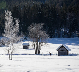 house in the snow