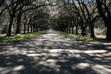 Fototapeta premium Bonaventure Cemetery is a rural cemetery located on a scenic bluff of the Wilmington River, east of Savannah, Georgia.