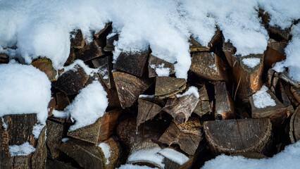 Snow Covered Logs
