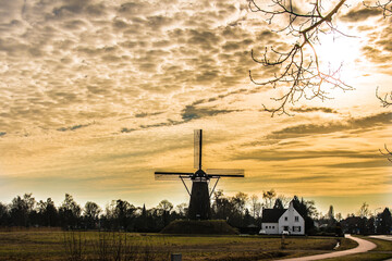 Dutch Windmill