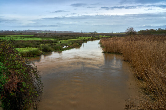 The River Yar at Brading Marshes