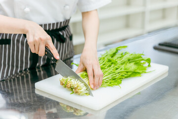 キッチンで野菜を切る女性（顔なし）
