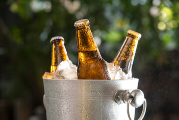 beer bottle chilled in ice green garden bokeh background © taveesaksri