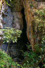 Cueva